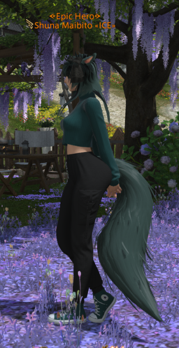 Shuna 3